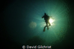 Quarry Diver by David Gilchrist 